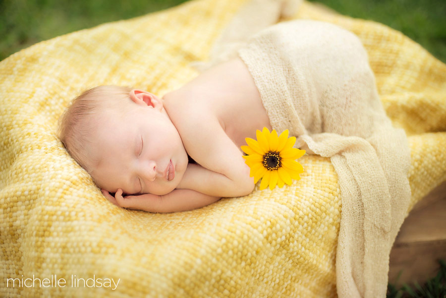 dc newborn baby photographer-2