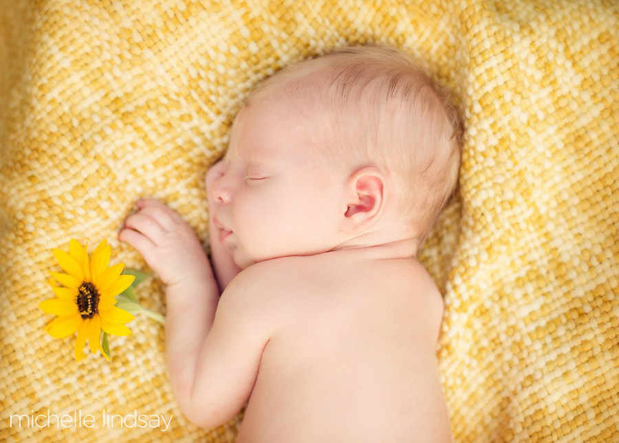 dc newborn baby photographer-3