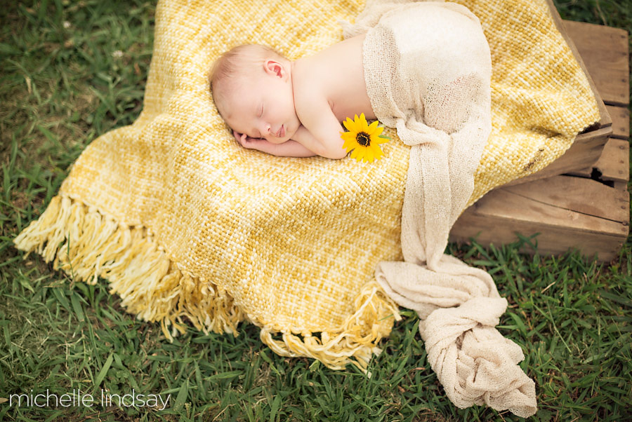 dc newborn baby photographer-4