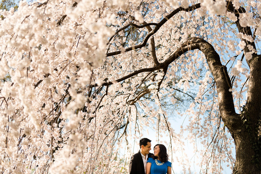 Cherry Blossom Washington DC Engagement-4