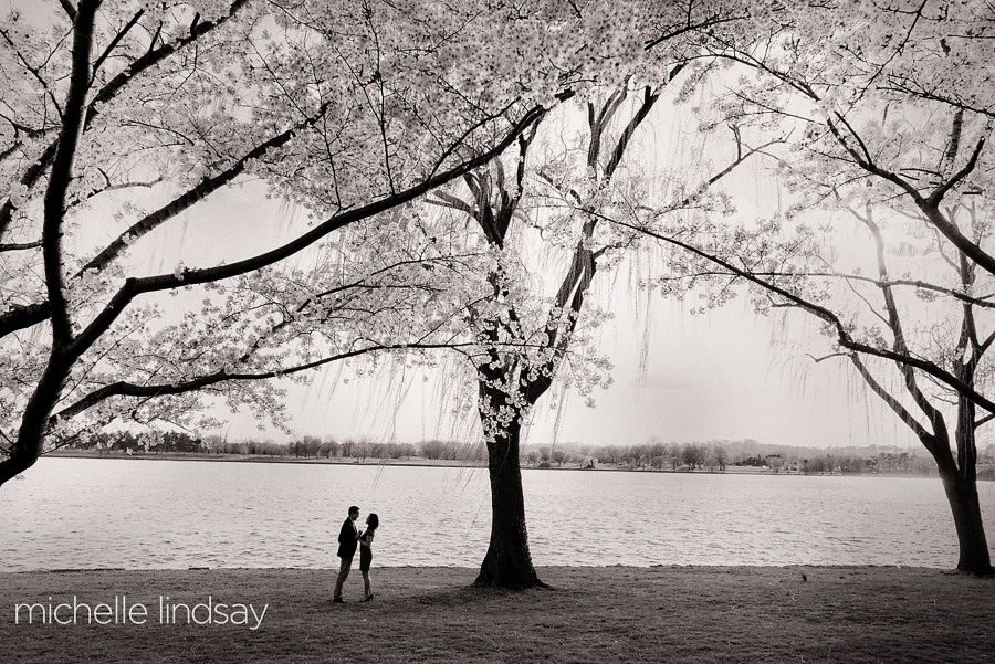 Cherry Blossom Washington DC Engagement-6