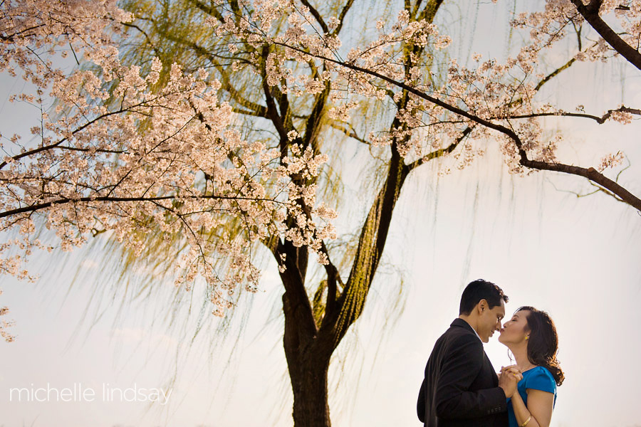Cherry Blossom Washington DC Engagement-7
