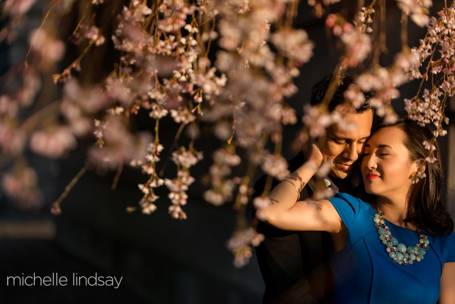 Cherry Blossom Washington DC Engagement-8