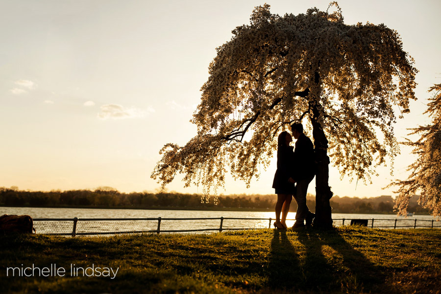 Cherry Blossom Washington DC Engagement-9