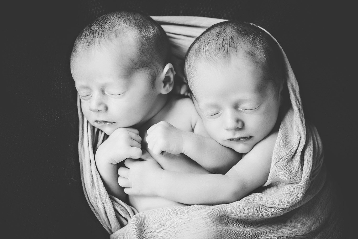 Newborn Twin Boys Photography-1