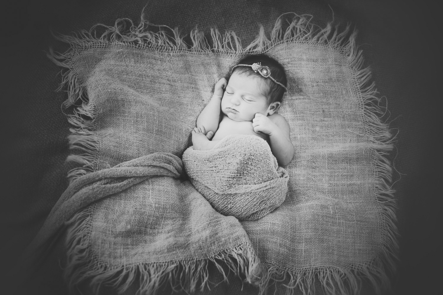 Loudoun County Newborn Photography-1