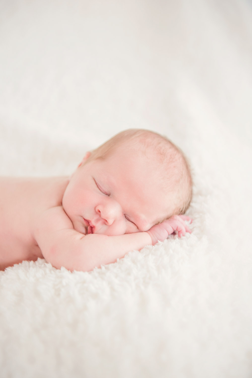 Loudoun County Newborn Family Portrait Photographer-9