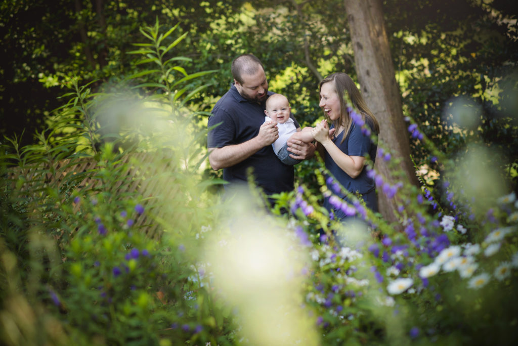 Family of dad, mom and baby play in the garden of flowers in Bon Air Rose Gardens in Arlington Virginia