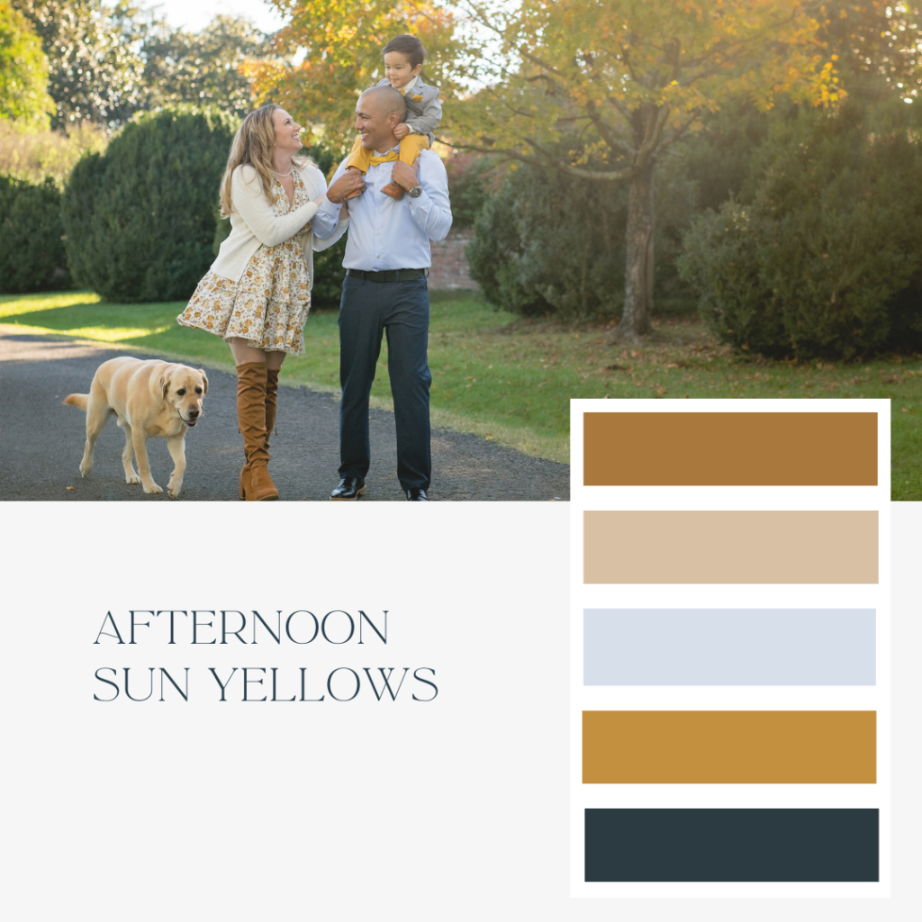 Yellow color palette for fall photos at Morven Park Loudoun County Virginia