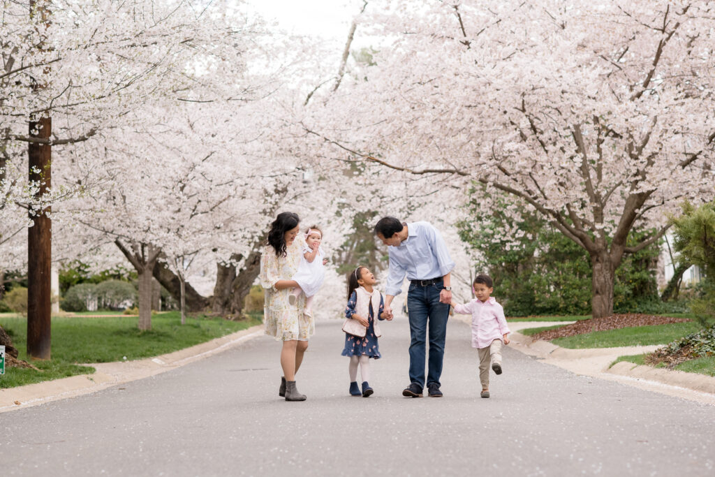 Family of five walks down cherry blossom tree lined lane in Leesburg, VA
