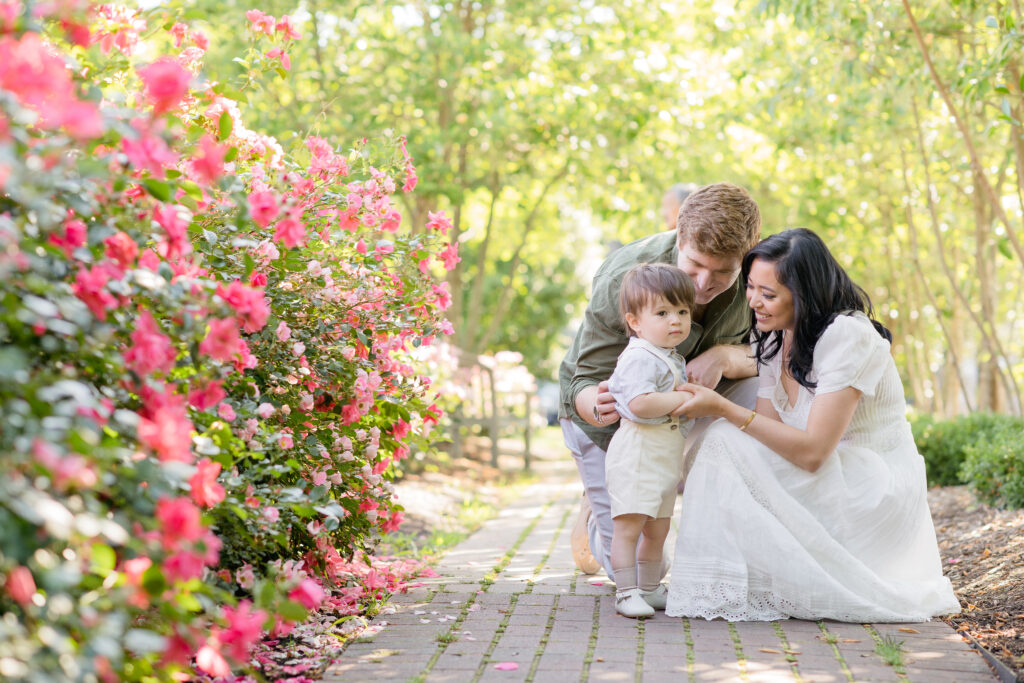 Mom, Dad, and Toddler boy next to a rose bush for their spring family photos
